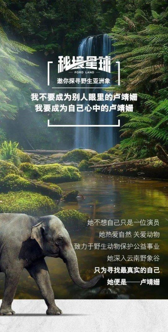 淮海战役后，国军伤亡及被俘55万，那么5大兵团司令的下场如何？